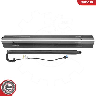 Электромотор, задняя дверь ESEN SKV 52SKV976