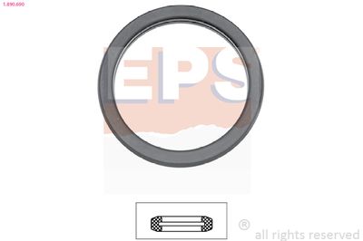EPS 1890690 Blīve, Termostats