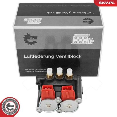 Клапан, пневматическая система ESEN SKV 93SKV818