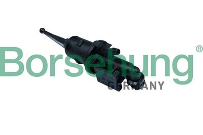 Galvenais cilindrs, Sajūgs BORSEHUNG B17868