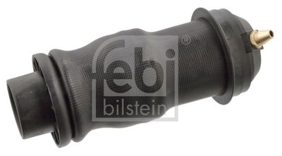 Pneimoatsperes spilvens, Kabīnes atsperojums FEBI BILSTEIN 108904