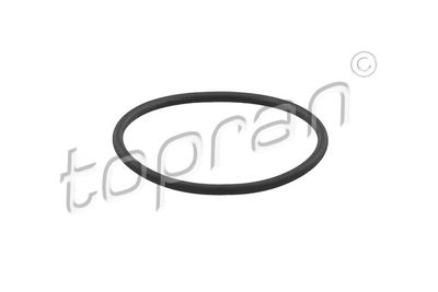 Blīve, Degvielas sūknis TOPRAN 628105