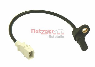  METZGER 0902098