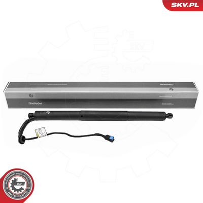 Электромотор, задняя дверь ESEN SKV 52SKV178