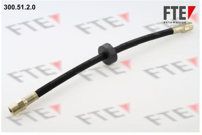 Тормозной шланг FTE 9240148