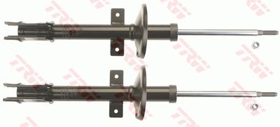 Amortizators TRW JGM1106T