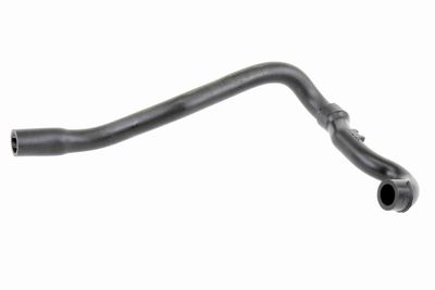 Шланг, вентиляция картера VAICO V950321