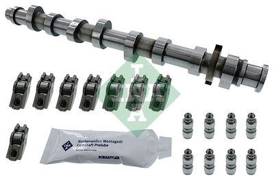 Комплект распредвала Schaeffler INA 428 0050 30