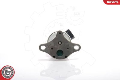 Клапан возврата ОГ ESEN SKV 14SKV017