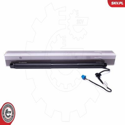 Электромотор, задняя дверь ESEN SKV 52SKV948