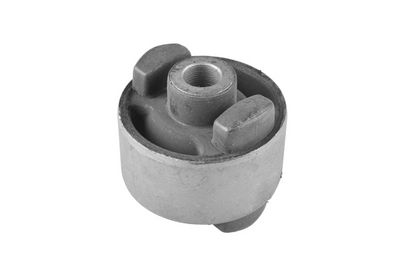 Piekare, Šķērssvira TEDGUM 00466396