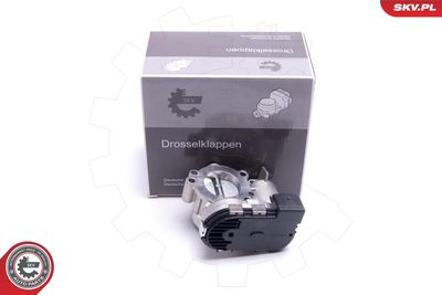 Корпус дроссельной заслонки ESEN SKV 12SKV119