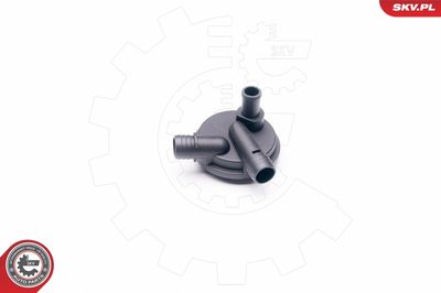 Клапан, отвода воздуха из картера ESEN SKV 31SKV013