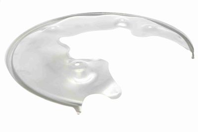 Dubļu sargs, Bremžu disks VAICO V10-5067