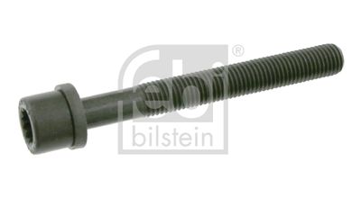 Болт головки цилиндра FEBI BILSTEIN 06666