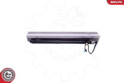 Электромотор, задняя дверь ESEN SKV 52SKV906