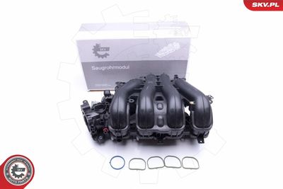 Модуль впускной трубы ESEN SKV 49SKV027