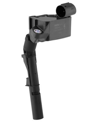 Катушка зажигания BorgWarner (BERU) ZSE243