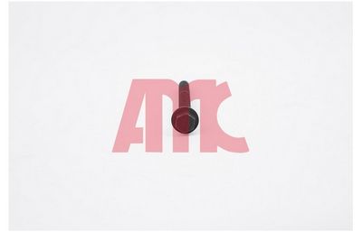 Комплект болтов головки цилидра AMC 258016