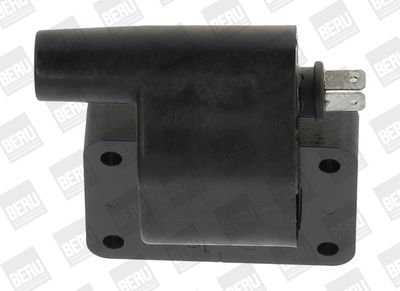 Aizdedzes spole BorgWarner (BERU) ZS511