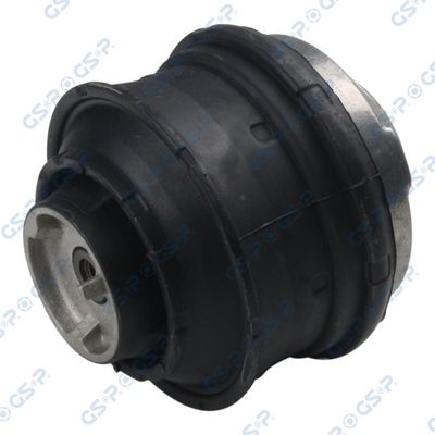  GSP 510541