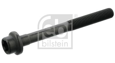 Болт головки цилиндра FEBI BILSTEIN 15698