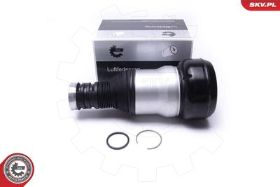 Опора пневматической рессоры ESEN SKV 58SKV071