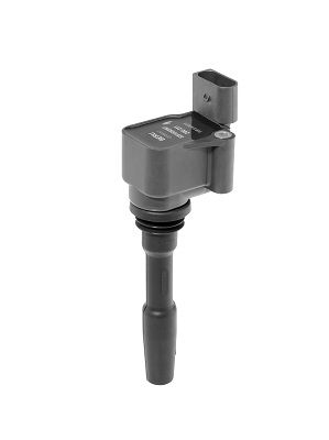 Катушка зажигания BorgWarner (BERU) ZSE231