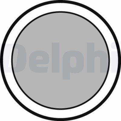 Комплект тормозных колодок, дисковый тормоз DELPHI LP347