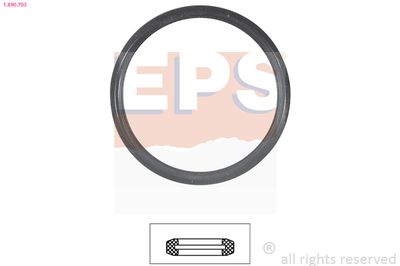 EPS 1890703 Blīve, Termostats
