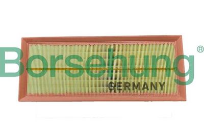 Gaisa filtrs Borsehung B12447