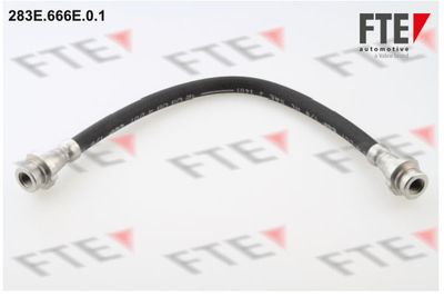 Тормозной шланг FTE 9240450