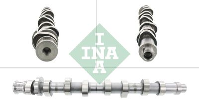 Распредвал Schaeffler INA 428 0161 10