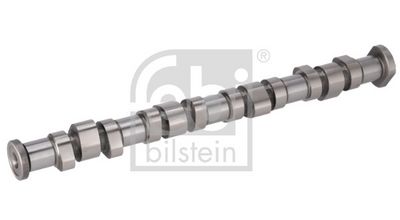 Sadales vārpsta FEBI BILSTEIN 1005807