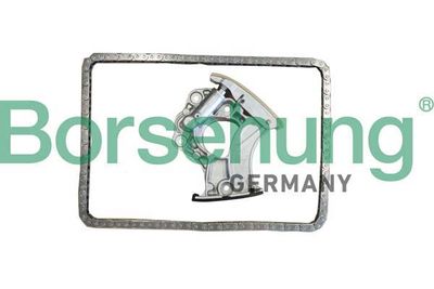 Комплект цели привода распредвала BORSEHUNG B10245
