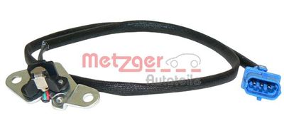  METZGER 0903043
