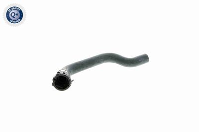 Radiatora cauruļvads VAICO V10-2347