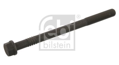 Болт головки цилиндра FEBI BILSTEIN 06229