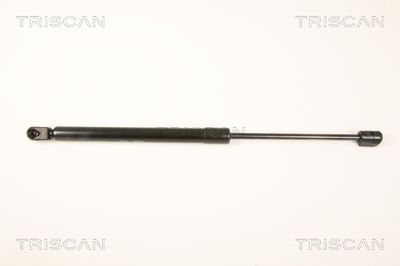 Gāzes atspere, Bagāžas/Kravas nodalījuma vāks TRISCAN 8710 43231