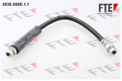 Тормозной шланг FTE 303E.666E.1.1