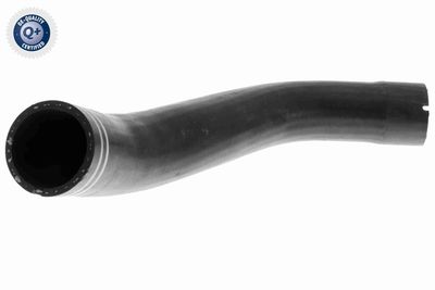 Pūtes sistēmas gaisa caurule VAICO V24-0712