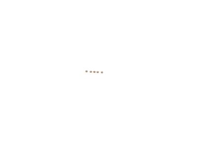 BOSCH F00ZC99744 Remkomplekts, Common-Rail sistēma