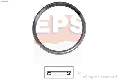 EPS 1890681 Blīve, Termostats