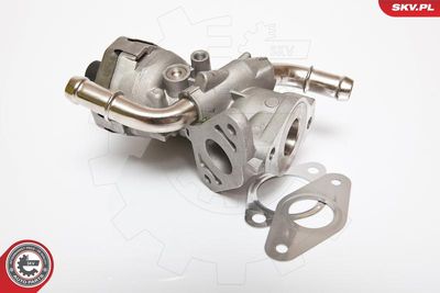 Клапан возврата ОГ ESEN SKV 14SKV044