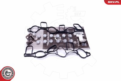 Remonta komplekts, ieplūdes kolektora modulis ESEN SKV 49SKV523