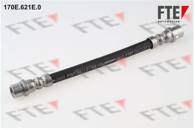 Тормозной шланг FTE 9240046