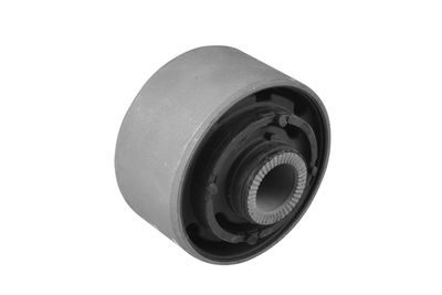 Piekare, Šķērssvira TEDGUM 00679782