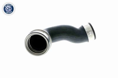 Pūtes sistēmas gaisa caurule VAICO V10-2901