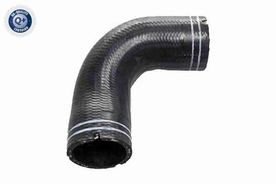 Шланг, вентиляция картера VAICO V24-1063