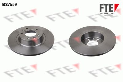 Bremžu diski FTE 9072461